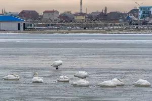 Погода в Новороссийске &copy;&nbsp;фото Sega Black-Sea
