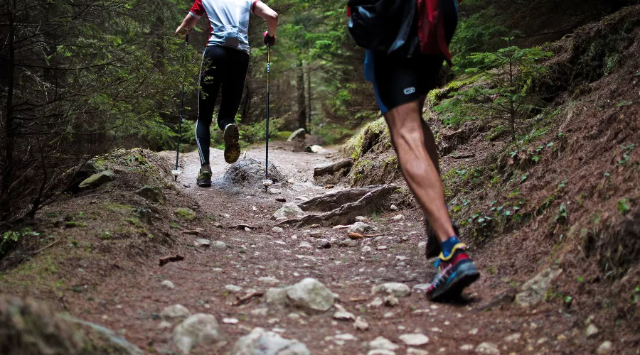  &copy;&nbsp;Фото с сайта pixabay.com