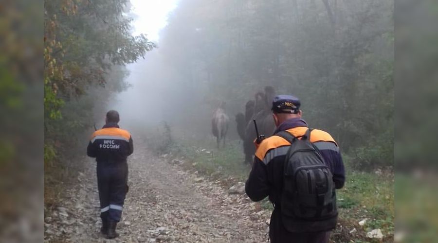  © Фото из аккаунта Алексея Одерова, www.instagram.com/alekseioderov