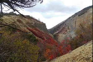  &copy;&nbsp;Скриншот из сообщества ВКонтакте заповедника &laquo;Утриш&raquo; https://vk.com/utrishgpz?w=wall-83231953_3932