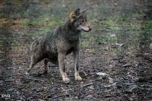  &copy;&nbsp;Фото Нины Зотиной, Юга.ру