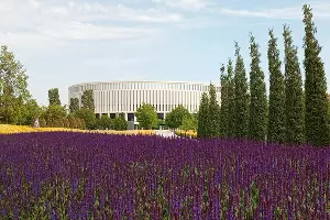  &copy;&nbsp;Фото Андрея Малёваного, Юга.ру