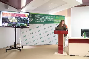  &copy;&nbsp;Фото пресс-службы АГУ