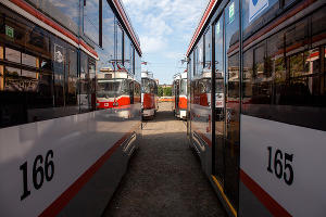 В Краснодаре вышли на маршрут новые трамваи © Фото Дмитрия Пославского, Юга.ру