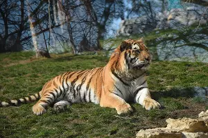  &copy;&nbsp;Елена Синеок, ЮГА.ру