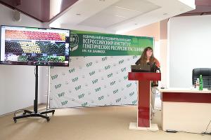  © Фото пресс-службы АГУ