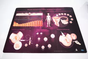 Открытие седьмой клиники &laquo;Екатерининская&raquo; в Краснодаре &copy;&nbsp;Фото Елены Синеок, Юга.ру