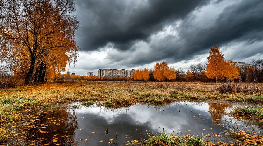 осень &copy;&nbsp;изображение сгенерировано нейросетью shedevrum