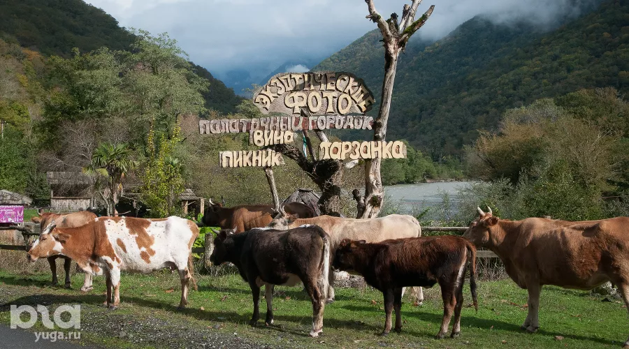  &copy;&nbsp;Елена Синеок, ЮГА.ру