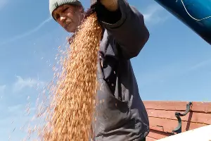  &copy;&nbsp;Эдуард Корниенко, ЮГА.ру