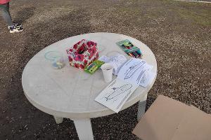  © Фото Иолины Грибковой, Юга.ру