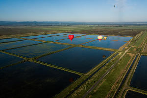 Фестиваль воздухоплавания «Абинская Ривьера» &copy;&nbsp;Фото Виталия Тимкива, Юга.ру