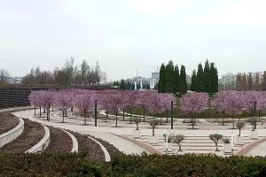 Весна в Краснодаре &copy;&nbsp;Фото Андрея Малёваного