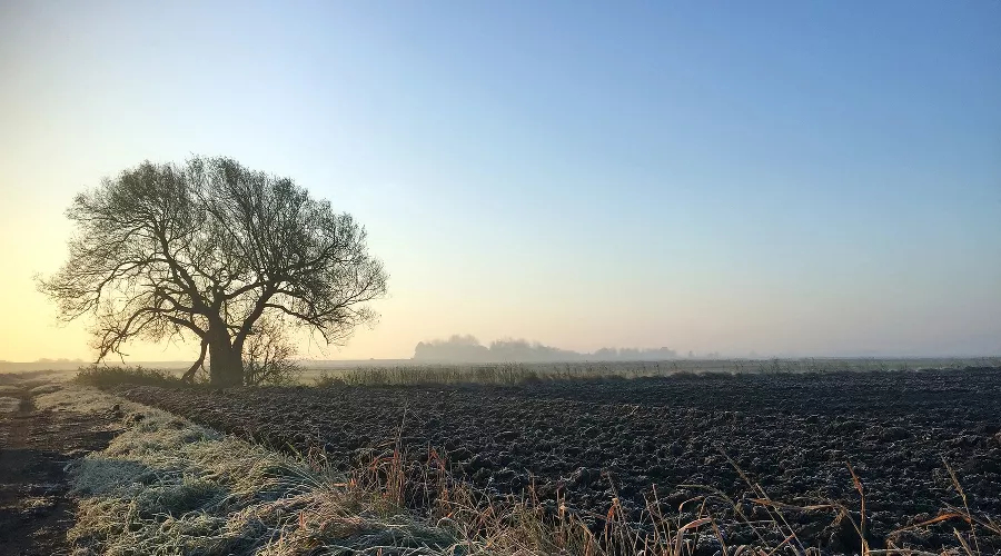  &copy;&nbsp;Фото mark10852 с сайта pixabay.com