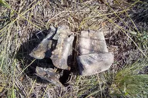  &copy;&nbsp;Фото пресс-службы ГБУ РК &laquo;Восточно-Крымский историко-культурный музей-заповедник&raquo;