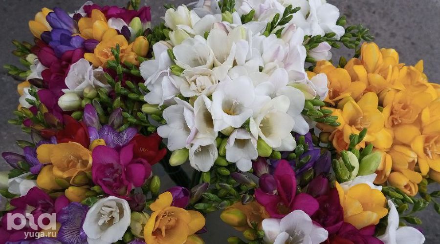  &copy;&nbsp;фото Андрея Малёваного