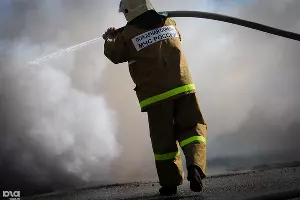  &copy;&nbsp;Фото Елены Синеок, Юга.ру