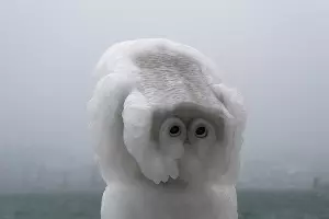  &copy;&nbsp;фото Sega Black-Sea https://vk.com/segablacksea