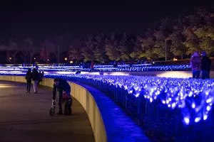 Парк «Краснодар»  с новогодней подсветкой &copy;&nbsp;Фото Елены Синеок, Юга.ру