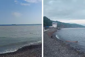  &copy;&nbsp;Коллаж из скриншотов фото из телеграм-канала &laquo;Глебовский округ - Актуальное&raquo;