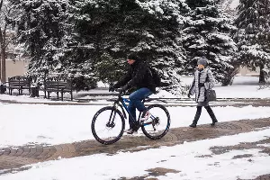  &copy;&nbsp;Фото Елены Синеок, Юга.ру