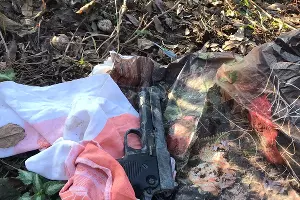  &copy;&nbsp;Фото предоставлено Романом Жуковым