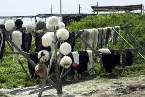  &copy;&nbsp;Фото Евгения Мельченко