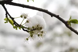  &copy;&nbsp;Алёна Живцова, ЮГА.ру