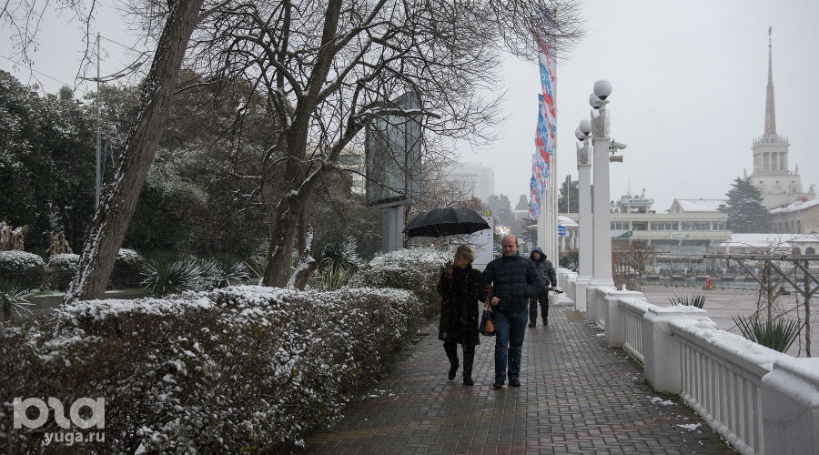 Снег в Сочи © Фото Нины Зотиной, Юга.ру