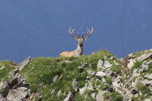  © Фото Юрия Дороша