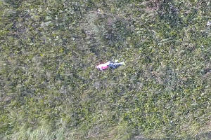 Кадры для оценки примерного масштаба. Все люди на фото — поисковики &laquo;Лиза Алерт&raquo; &copy;&nbsp;Фото с сайта watcher.lizaalert.ru