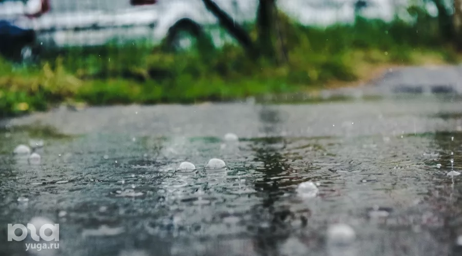  &copy;&nbsp;Фото Елены Синеок, Юга.ру