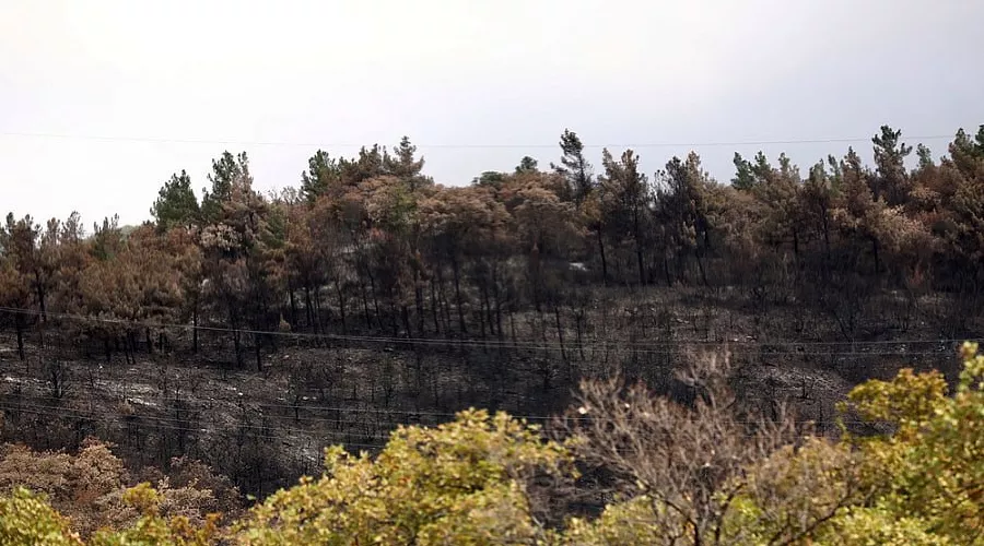  &copy;&nbsp;Фото пресс-службы администрации Краснодарского края