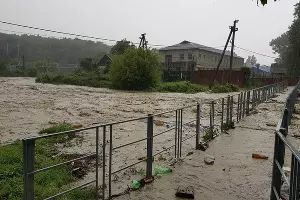  &copy;&nbsp;Фото Эмира Кубединова