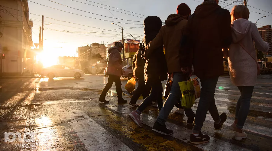  &copy;&nbsp;Фото Елены Синеок, Юга.ру