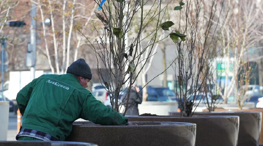  &copy;&nbsp;Фото пресс-службы администрации Краснодара