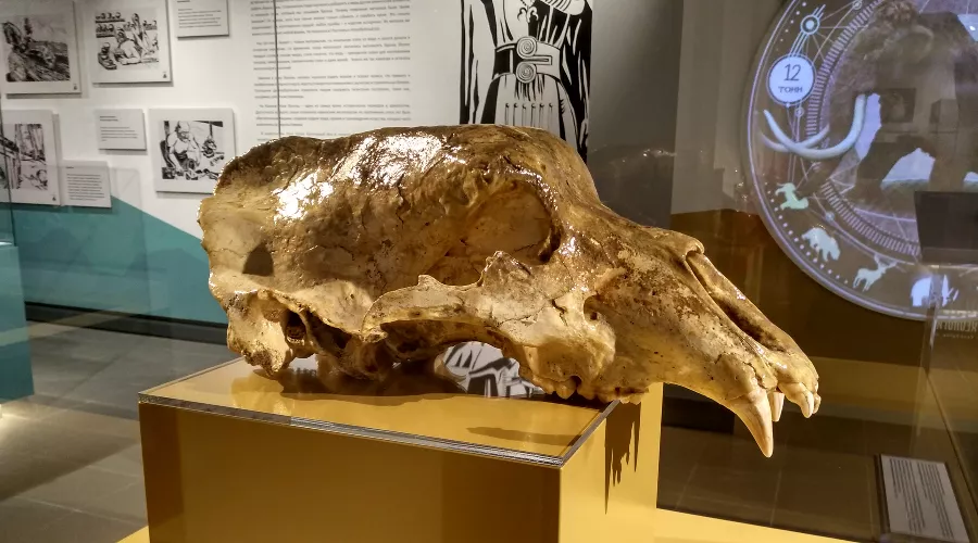  &copy;&nbsp;Фото пресс-службы курорта &laquo;Роза Хутор&raquo;