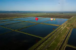 Фестиваль воздухоплавания «Абинская Ривьера» &copy;&nbsp;Фото Виталия Тимкива, Юга.ру
