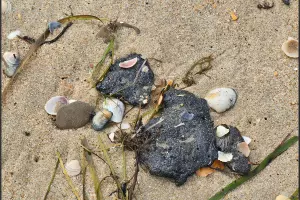  &copy;&nbsp;Скриншот из телеграм-канала Юрия Озаровского https://t.me/MoreOz/108669?single