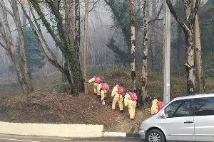  &copy;&nbsp;Фото из telegram-канала Алексея Копайгородского