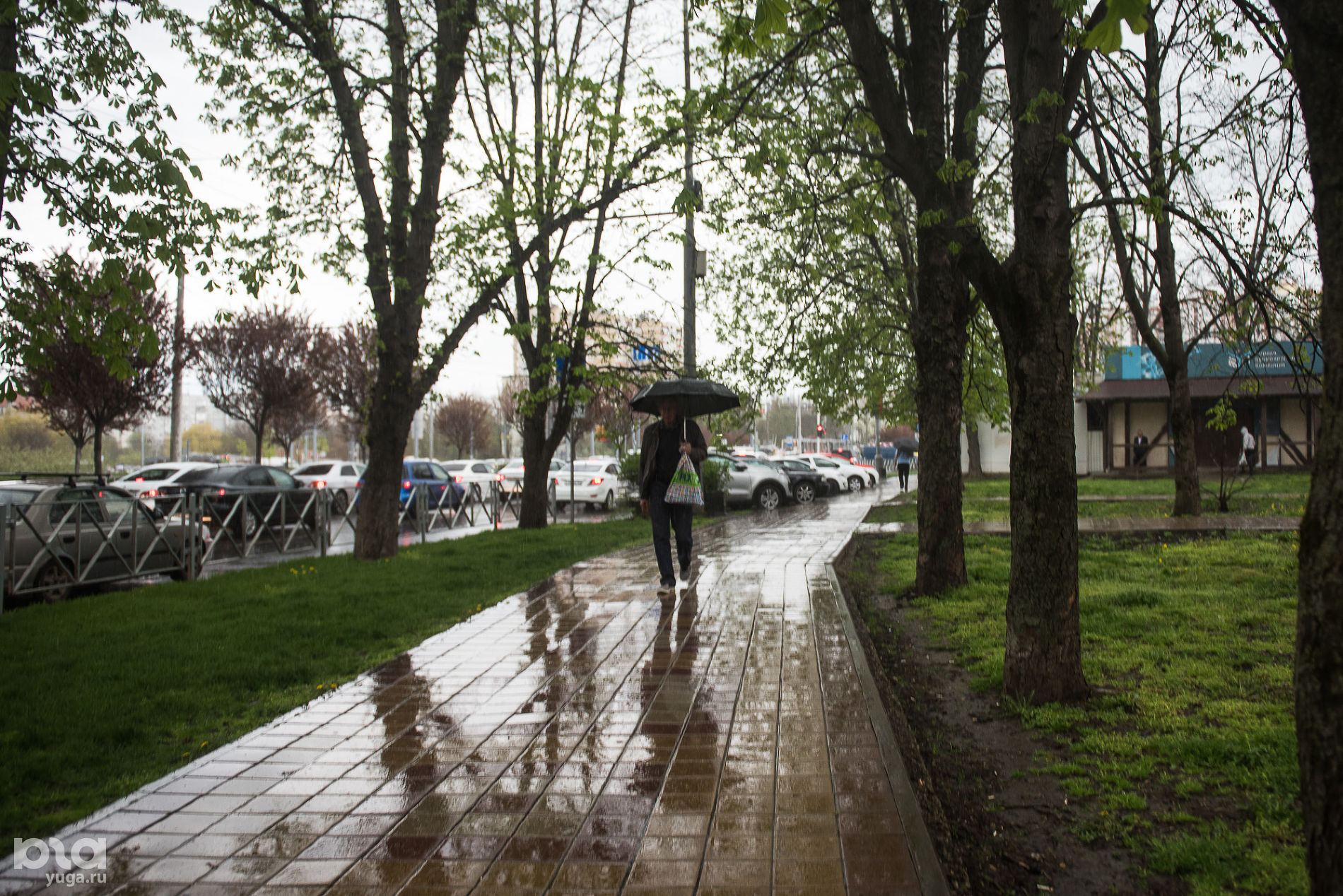 Погода в краснодарском крае в комсомольском. Дождливый Краснодар. Апрель на Кубани. Дождь в Краснодаре. Славянск на Кубани дождь.