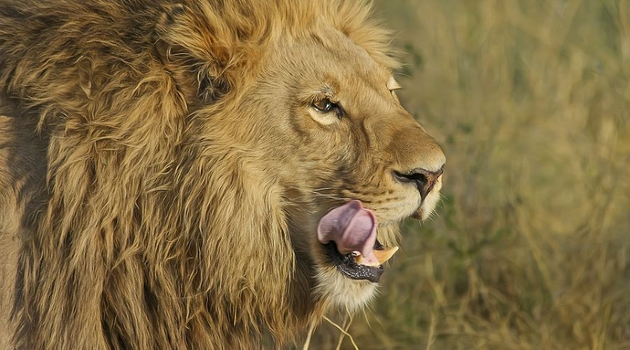  © Фото с сайта pixabay.com