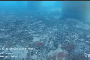  &copy;&nbsp;Скриншот из телеграм-канала &laquo;Земля касается каждого&raquo; https://t.me/earthtouches_me/6178