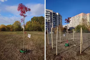  &copy;&nbsp;Скриншот фото из телеграм-канала &laquo;ЮМР Краснодар&raquo;