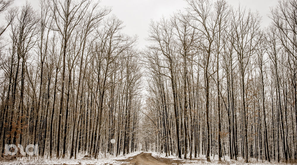 Горные дороги © Фото Елены Синеок, Юга.ру