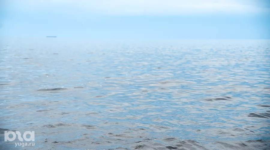  &copy;&nbsp;Фото Елены Синеок, Юга.ру