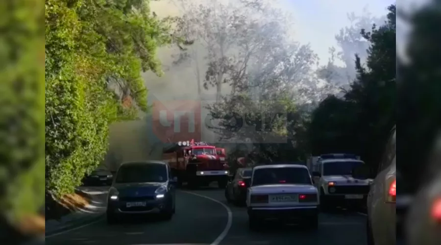  &copy;&nbsp;Скриншот видео со страницы vk.com/chpsochi