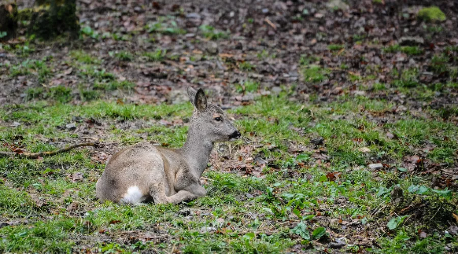  &copy;&nbsp;Нина Зотина, ЮГА.ру