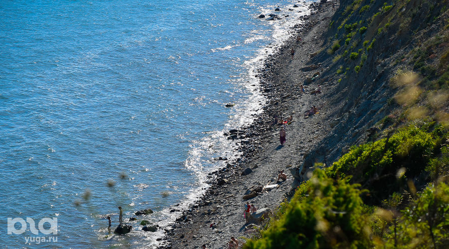  © Фото Елены Синеок, Юга.ру