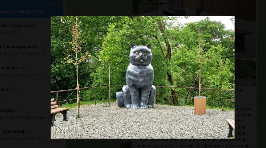  &copy;&nbsp;Скриншот фото из телеграм-канала &laquo;Сочи Официальный&raquo;